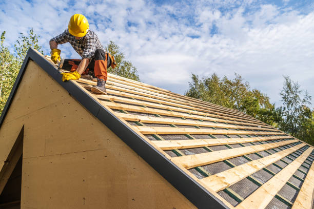 Roof Gutter Cleaning in Beechwood, MI