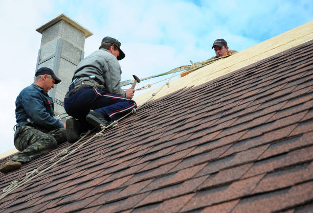 Best New Roof Installation  in Beechwood, MI