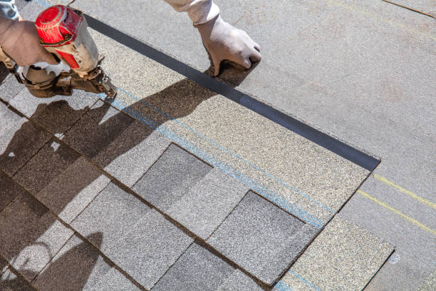 Best Shingle Roofing Installation  in Beechwood, MI