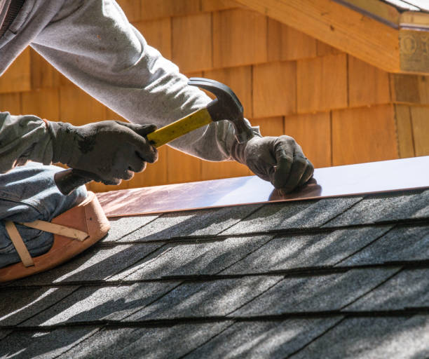 Best Roof Restoration Services  in Beechwood, MI